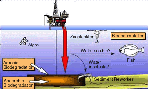offshore environment