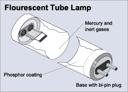 Compact fluorescent bulb Compact fluorescent bulb