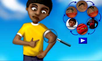 anim_infection anim_infection