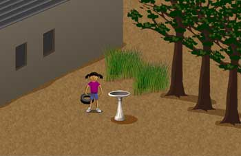 animation1 animation1