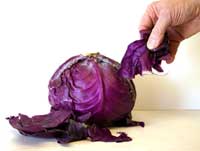 Red cabbage