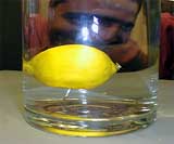 Lemon with attached coin