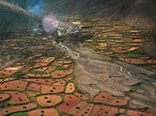 Farms at 4500m