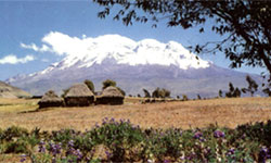Chimborazo