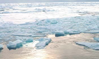 Ice floes