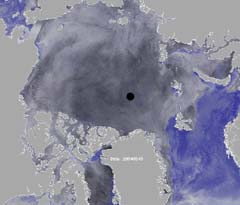 Ice in September 2003